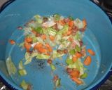 Foto del paso 5 de la receta: Sopa cultivateur de un estudiante