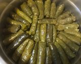 عکس مرحله 10 از دستور دلمه برگ مو لبنانی (ورق عنب -wara anab)