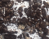 A picture of step 7 of Checkerboard cake.