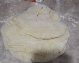 Foto del paso 4 de la receta: Medialunas y algo más