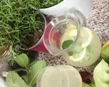 Une image de l'étape 5 de Citronade menthe fraiche citron de menton.