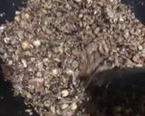 Foto langkah ke 3 dari resep Granola -Keto.