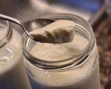 Foto del paso 6 de la receta: Yogurt natural casero muy fácil