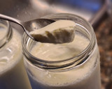 Foto del paso 6 de la receta: Yogurt natural casero muy fácil