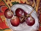 Jus Anggur