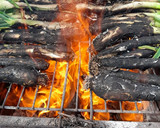 Foto del paso 4 de la receta: Calçot