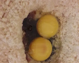 Foto del paso 2 de la receta: Pastafrola de batata
