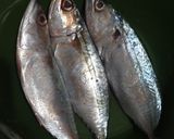Foto langkah ke 1 dari resep 1050. Ikan Kembung Balado.