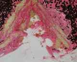 Foto del paso 3 de la receta Tiramisu de fresa naturales