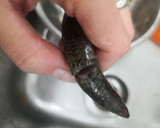 Foto del paso 2 de la receta: Boquerones al horno con pimientos de Padrón