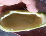 Foto del paso 5 de la receta: Calabacita española rellena de camarón, bañada en salsa bechamel