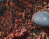 Foto langkah ke 3 dari resep Ikan Mangut Sambel Terasi.