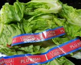 Foto del paso 3 de la receta: Ensalada con pollo, matambre o trocitos de lechón de las fiestas