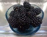 Foto del paso 2 de la receta 317. Batido de Moras