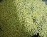 A picture of step 1 of Sweet Potato and Moong Dal Pithe.