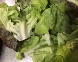 Une image de l'étape 9 de Concombre mariné crème et herbes salade feuille de chêne.