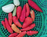 Foto langkah ke 1 dari resep Sambal Bawang Pedas Mantab.