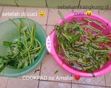 Foto langkah ke 1 dari resep Kangkung Belacan |anak kost |murah meriah| Makan siang sederhana.