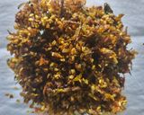 A picture of step 5 of Red pumpkin peel chutney.