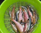 Foto del paso 1 de la receta: Fritura de pescaito