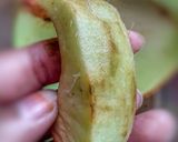 A picture of step 3 of Chalta Dal.