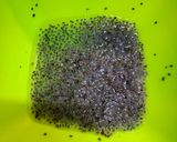 Foto langkah ke 3 dari resep Sop Buah Serba 5000.