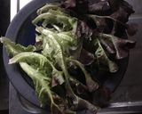 梅醬烤棒棒腿的食譜步驟3照片
