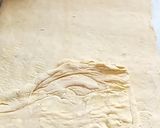 Foto del paso 6 de la receta: Masa hojaldre