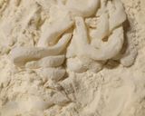 A picture of step 2 of Calamari fritte.