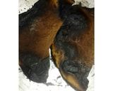 Foto del paso 10 de la receta: Mole oaxaqueño