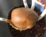 Foto del paso 1 de la receta: ♻️ Cake Pops Reciclando Bizcochuelos