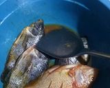 Foto langkah ke 2 dari resep Mujair🐟 goreng praktis.