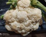 गोभी के पराठे (Gobi ke parathe recipe in Hindi) रेसिपी चरण 1 फोटो