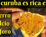 Foto del paso 1 de la receta: Jugo de curuba en leche