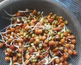 স্প্রাউট স্যালাড রেসিপি(Sprouts salad recipe in bengali) রেসিপির ধাপ 7 ছবি