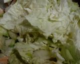 白菜滷(全素)的食譜步驟5照片