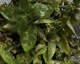 Foto del paso 2 de la receta: Pesto “alla ligure” con albahaca de mi maceta