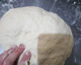Foto del paso 4 de la receta: Pizza casera