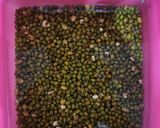 Foto langkah ke 1 dari resep Onde onde isi kacang hijau.