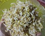 Foto langkah ke 4 dari resep Kupat Tahu Gurih Bumbu Kacang.