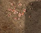 A picture of step 3 of Podi Idli.