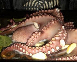 Foto del paso 5 de la receta: Pulpo al horno al estilo murciano