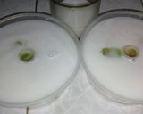 Foto langkah ke 3 dari resep Pudingku my jelly.