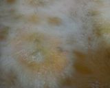 A picture of step 8 of Singhare ke atte ke dahi wade.