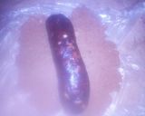 A picture of step 8 of Date Roll Sweet,.