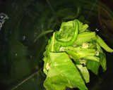 हैल्दी ग्रीन वॉफल (healthy green waffle recipe in Hindi) रेसिपी चरण 1 फोटो