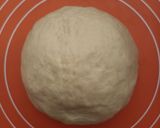 Foto langkah ke 5 dari resep Bakpao (No Mixer).