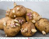 Foto del paso 16 de la receta: Puchero Criollo