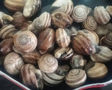 Foto del paso 3 de la receta: Caracoles picantes