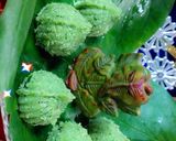 A picture of step 4 of Nariyal Paan Modak.